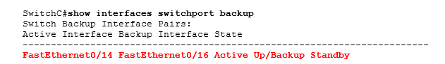 show interfaces switchport backup