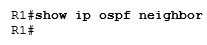 нет никакого соседства OSPF