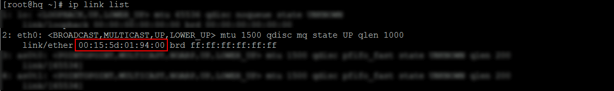 UNIX/Linux ip link list