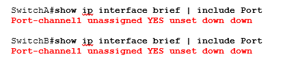 port-channel interface