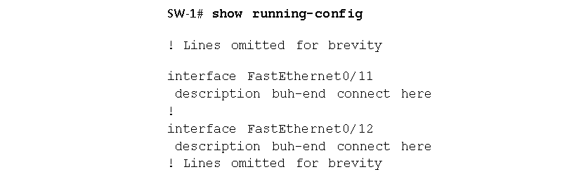 show running-config