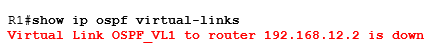 show ip ospf virtual-links