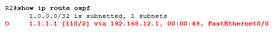 show ip route ospf