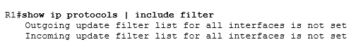 show ip protocols | include filter