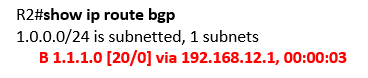 show ip route bgp show ip route bgp