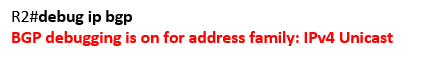 debug ip bgp