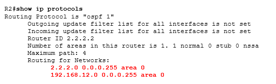 show ip protocols