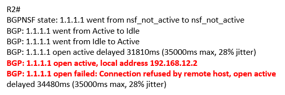 debug ip bgp