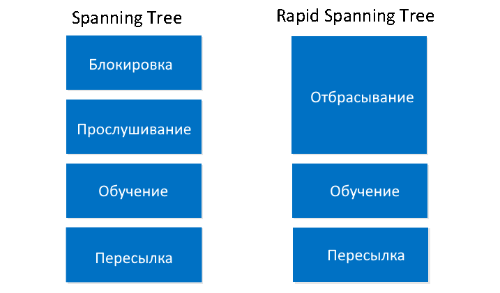 Азы Rapid spanning tree