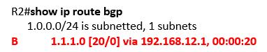 show ip route bgp show ip route bgp