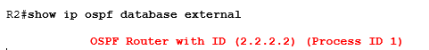 show ip ospf database external