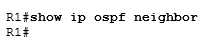 нет никакого OSPF соседства