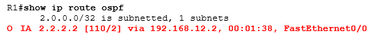 show ip route ospf