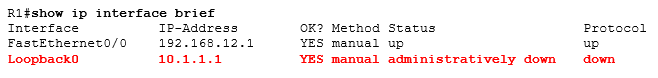 show ip interface brief
