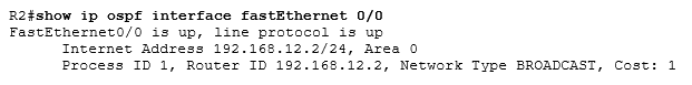 show ip ospf interface