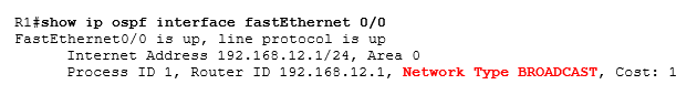 show ip ospf interface