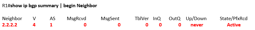 show ip bgp summary | begin Neighbor