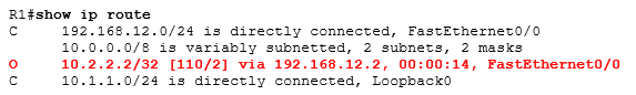 show ip route