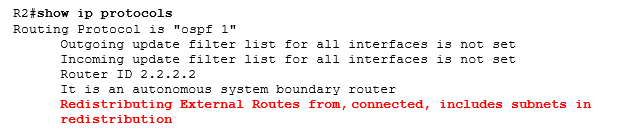 show ip protocols