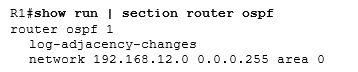 show run | section router ospf