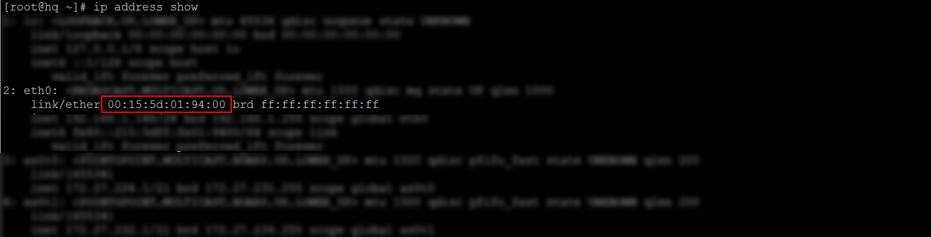 UNIX/Linux ip address show