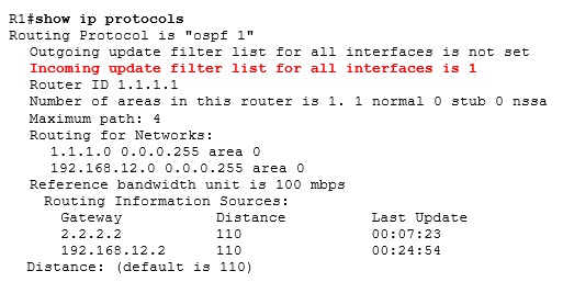show ip protocols