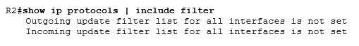 show ip protocols | include filter