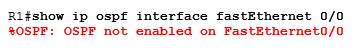 show ip ospf interface