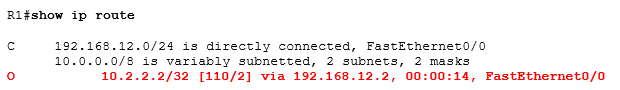 show ip route