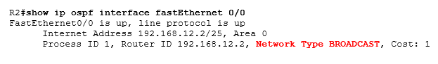 show ip ospf interface