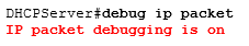 debug ip packet debug ip packet